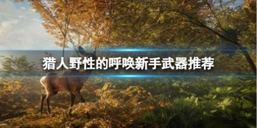 怪物猎人新手适合玩什么武器(怪物猎人选择什么武器)插图