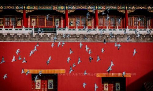 逃离世界游戏攻略(f键逃离世界什么梗)插图2