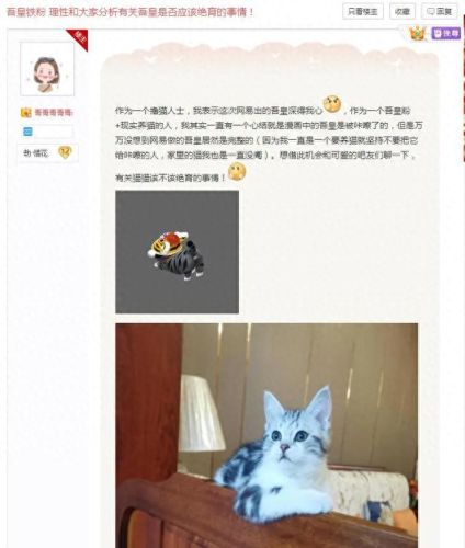 梦幻西游枫桥夜泊怎么样(梦幻西游枫桥夜泊鬼区)插图15