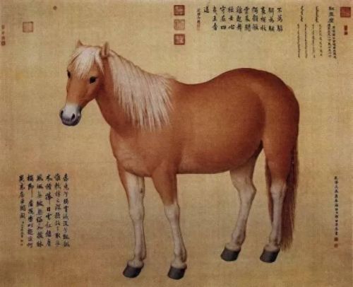 热血江湖真龙装备耐久度(热血江湖青龙武器怎么修复)插图43