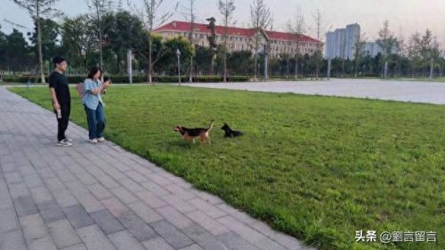 七年之约游戏攻略(七年游戏之约)插图8