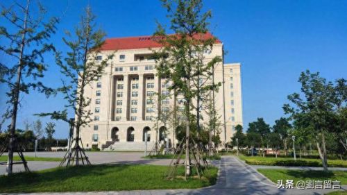 七年之约游戏攻略(七年游戏之约)插图1