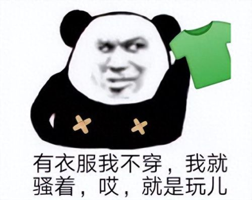 终极刺客赦免攻略(暗黑2赦免徽章怎么洗点)插图