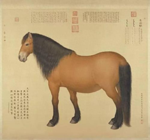 热血江湖真龙装备耐久度(热血江湖青龙武器怎么修复)插图48