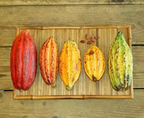 梦幻西游果仁巧克力(梦幻西游手拿巧克力系列)插图4