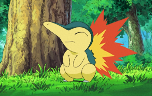 水水獭技能搭配(最强大的水豚技能搭配)插图1 水水獭技能搭配(最强大的水豚技能搭配)插图1