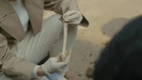 死亡点手游攻略(返回死亡点手游)插图3