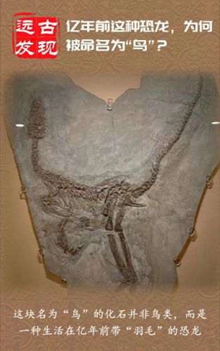 龙加鸟念什么技能(龙加个口念啥)插图