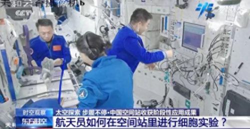 剑与家园强化训练装备(剑与家园装备重铸声望)