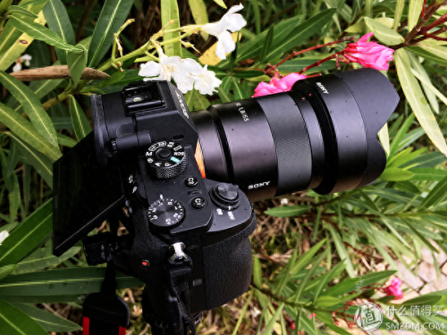 索尼微单a7r2使用攻略(索尼微单a7s2教程)插图6