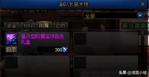 给宠物装备附魔宝珠在哪里买(宠物附魔宝珠哪里有)插图2