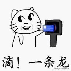 奥拉星怎么把亚比的装备卸下(奥拉星手游亚比大全)插图