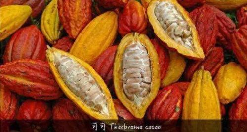 梦幻西游果仁巧克力(梦幻西游手拿巧克力系列)插图5