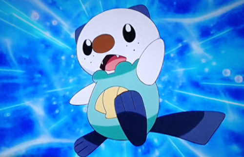 水水獭技能搭配(最强大的水豚技能搭配)