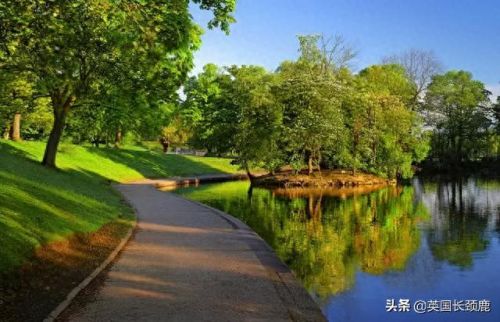 dr.stanley2的攻略图(dr.stanley攻略)插图33