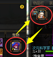 奶妈武器需要加智力吗(奶妈所有装备全是增幅吗)