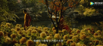 大秦天下手游装备分析(天下手游装备获得)插图35