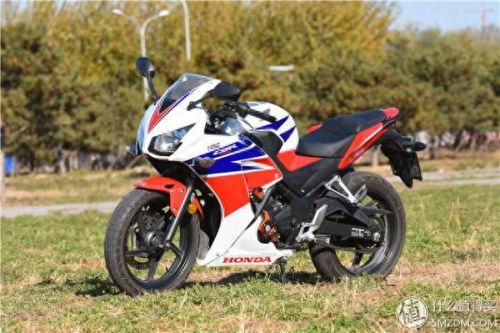 激战220级装备(激战220格隐形包)插图85