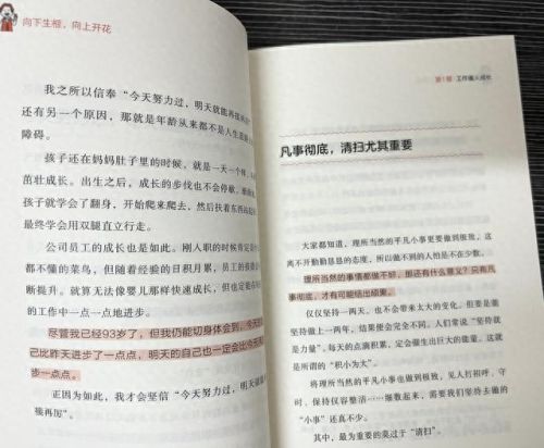 认真的兔子攻略(dota兔子攻略)