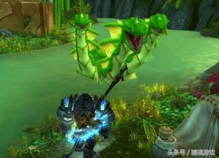 wowm蝙蝠技能(魔兽世界蝙蝠自带技能)插图2