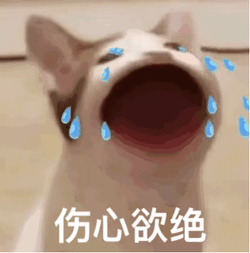精灵宝可梦日月z技能表情包(小智所有的z招式日月版)插图3