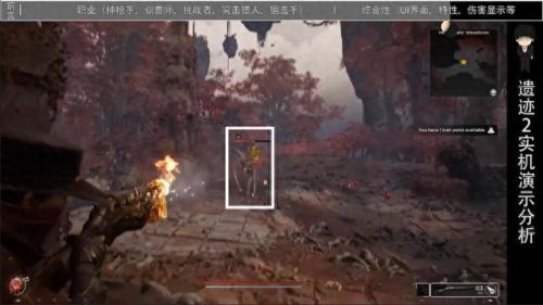 二名装备 魂技能(唐三有哪些魂骨和技能)插图47