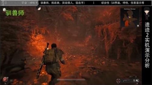 二名装备 魂技能(唐三有哪些魂骨和技能)插图15