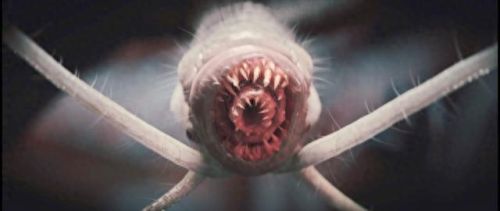 3级召唤技能 原罪(召唤师全技能顺序)插图7