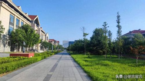 七年之约游戏攻略(七年游戏之约)插图6