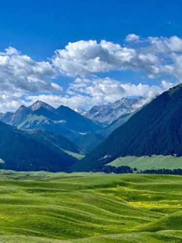 第八期里世界攻略(1楼里世界攻略)