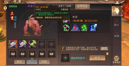 轩辕传奇灵宠技能怎么学满(轩辕传奇灵宠训练有什么用)插图