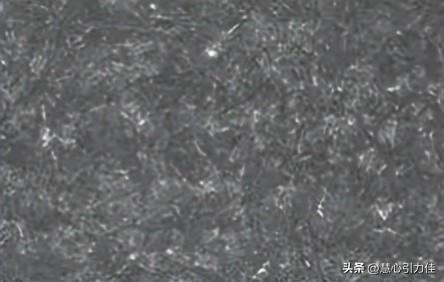 60 武器锻造任务6(1-60猎人任务武器)插图