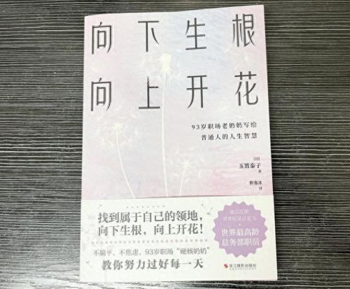 认真的兔子攻略(dota兔子攻略)插图