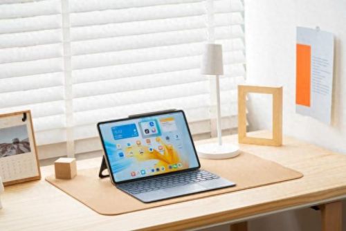 我的猫在哪里攻略13(我的猫2攻略)