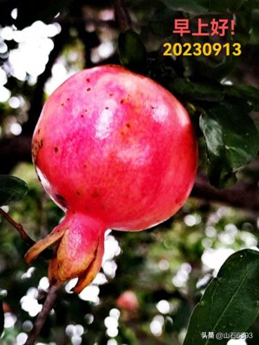 萦绕之魂怎么获得(萦绕之魂是什么意思)插图6