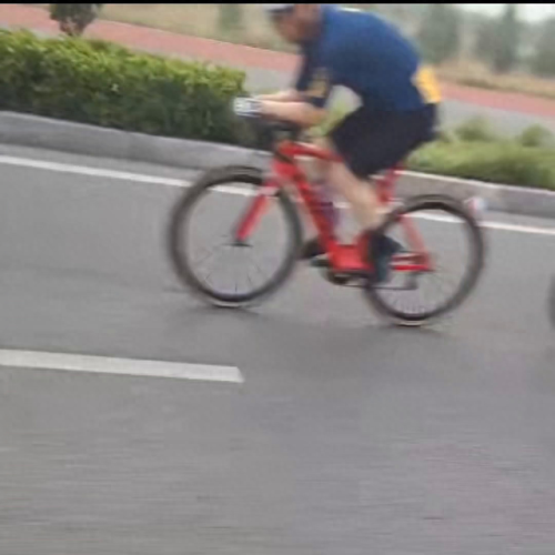 人在风中阅读答案(风睡着了阅读答案)插图2 人在风中阅读答案(风睡着了阅读答案)插图2