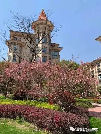 宣城论坛百姓视点(宣城头条新闻)插图7