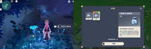 原神止水之潘任务(原神止水之潘任务流程介绍)插图16