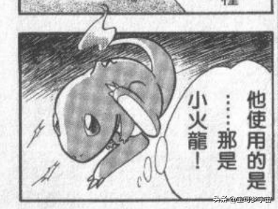 喷火龙(喷火龙vs急冻鸟)插图