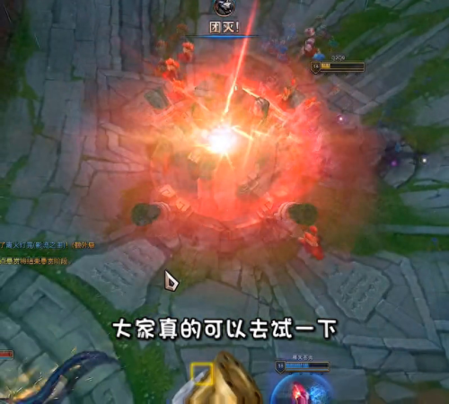 lol狮子狗(lol女主播被狮子狗抓哭)