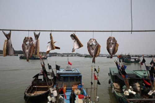 情人岛在哪里(情人岛惠州位置)插图10 情人岛在哪里(情人岛惠州位置)插图10