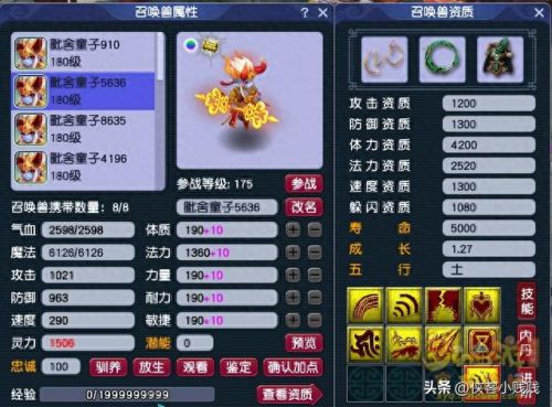 梦幻西游 耐法bb怎么加点(梦幻手游普陀最新加点)插图1