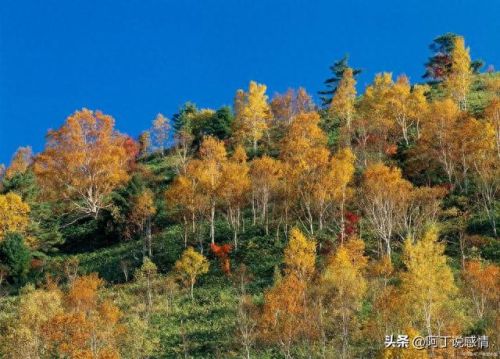 不负流年攻略(不负流年上一句是什么)插图 不负流年攻略(不负流年上一句是什么)插图