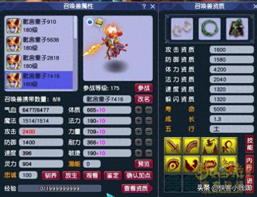 梦幻西游 耐法bb怎么加点(梦幻手游普陀最新加点)插图3