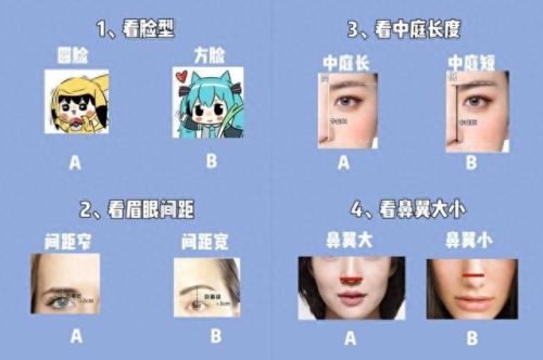 脸型眼镜(什么脸型适合戴多边形眼镜)插图1