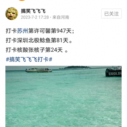 死亡特训(死亡特训电影)插图1 死亡特训(死亡特训电影)插图1