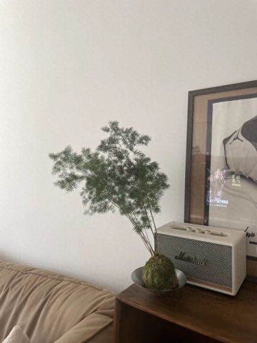 锈湖攻略种花(锈湖交流中的攻略)插图6