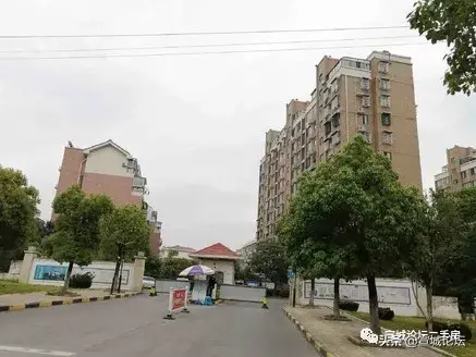 宣城论坛百姓视点(宣城头条新闻)插图81