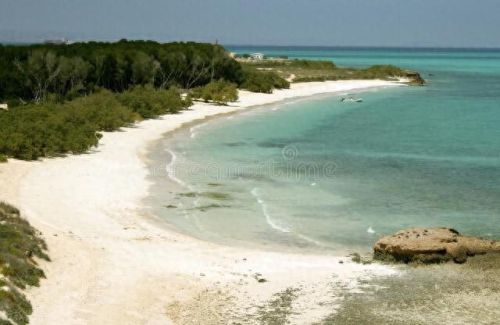 新吉布城市是哪个国家(吉布是哪个国家)插图6