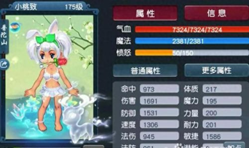 梦幻西游 普陀伤害公式(普陀伤害计算公式)插图2